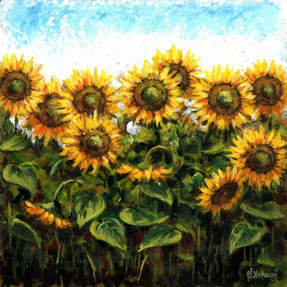 Ηλιοτρόπια - Χαραυγή