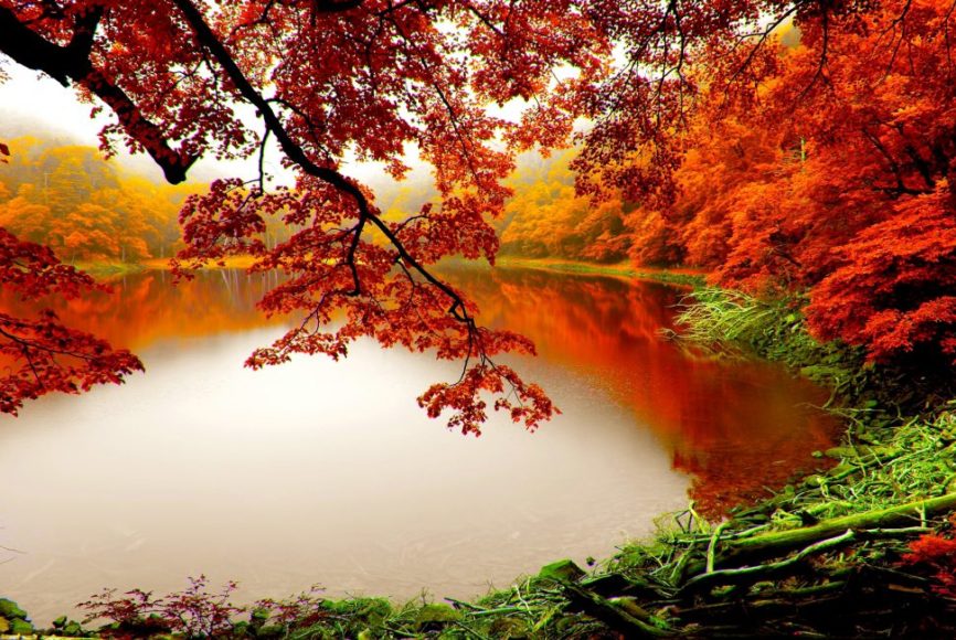 Autumn Lake (02)