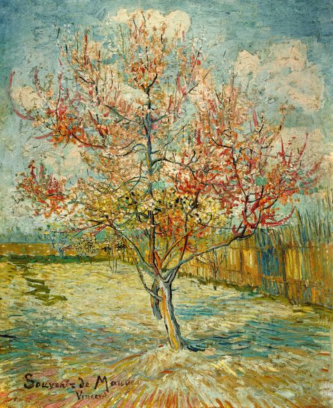 Pink Peach Tree in Blossom - Vincent Van Gogh