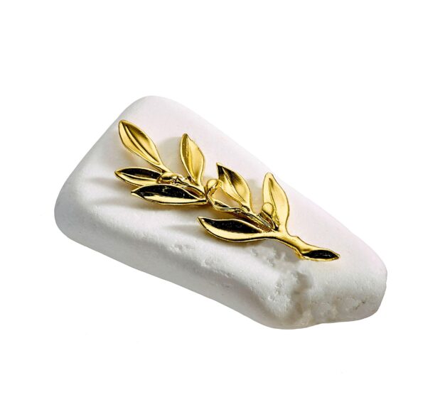 Χρυσό κλαδί ελιάς