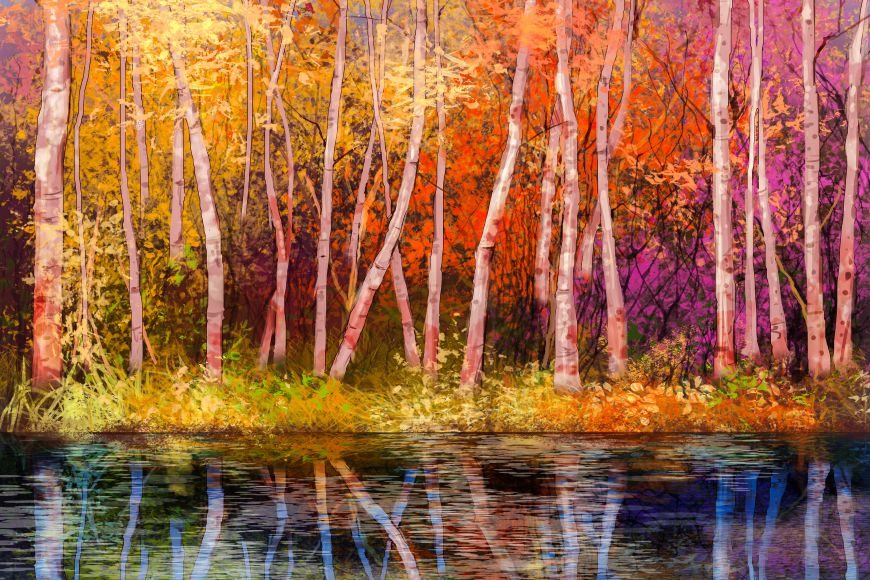 Colorful Autumn Landscape