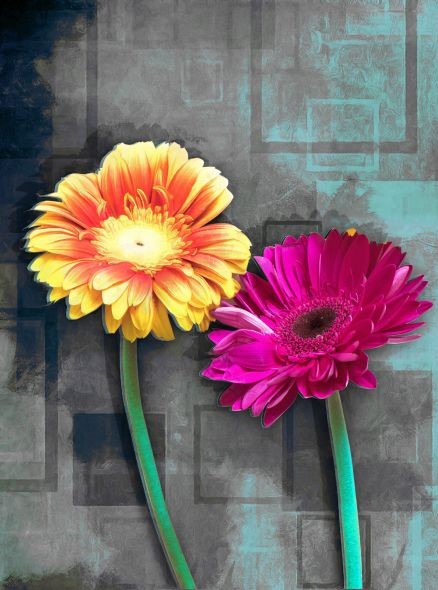 Πολύχρωμα λουλούδια (11)