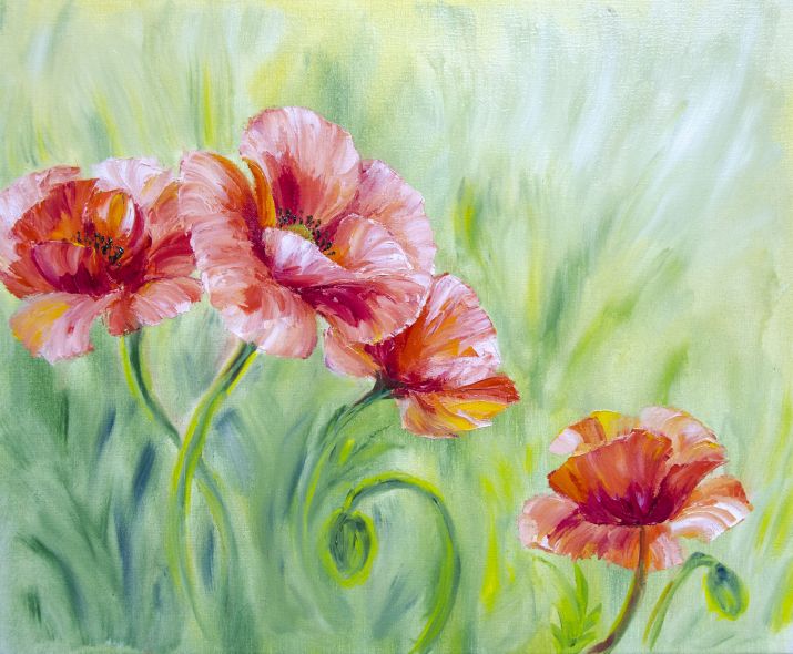 Beautiful Poppies