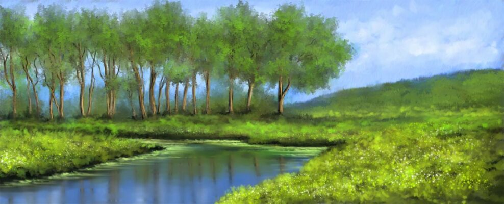 Forest landscape and a river