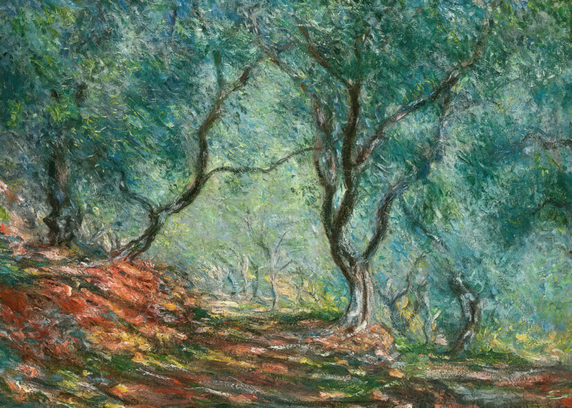 The olive grove in the Moreno garden - Claude Monet