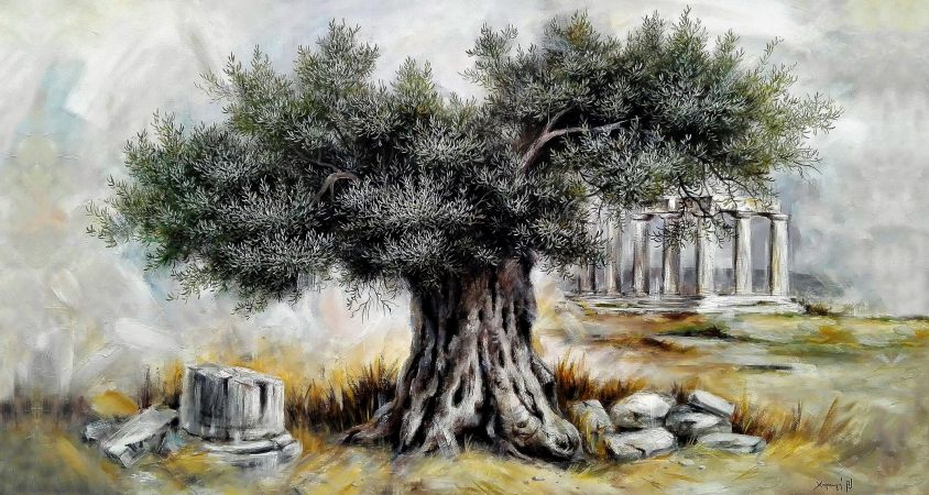 Ελιά (23) - Χαραυγή