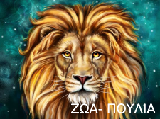 Νακες Σε Καμβα Ζώα - Πουλιά