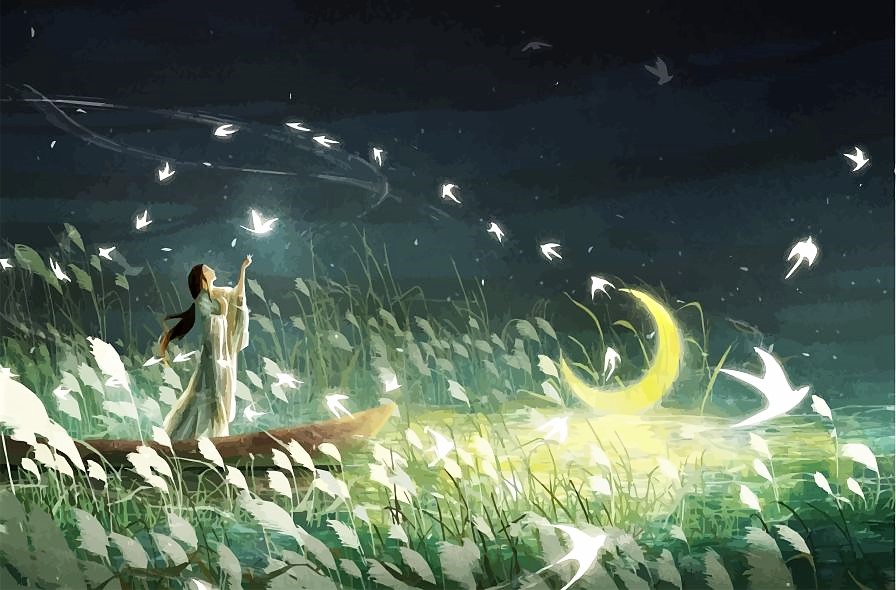 Μαγική βραδιά