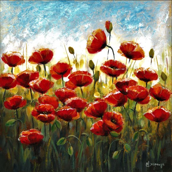 Παπαρούνες – Χαραυγή