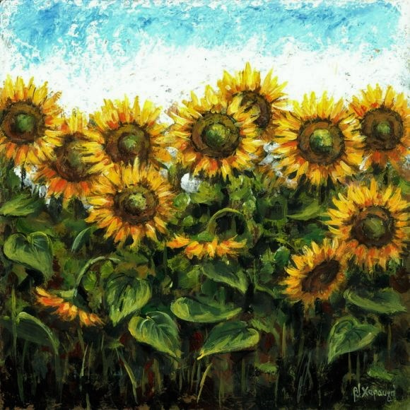 Ηλιοτρόπια – Χαραυγή