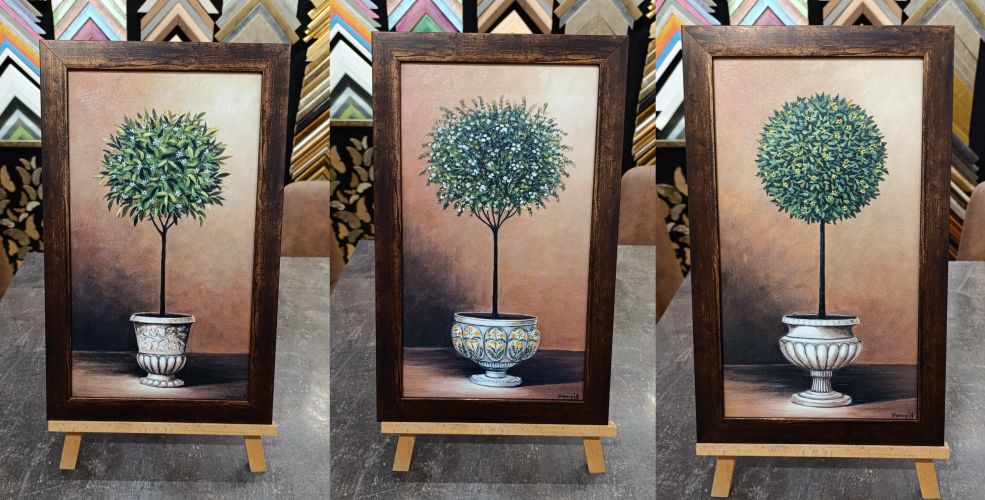 Small Round Tree on a ceramic pot – Χαραυγή