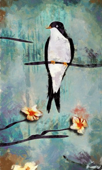 Χελιδόνι σε ανθισμένη κερασιά (02)