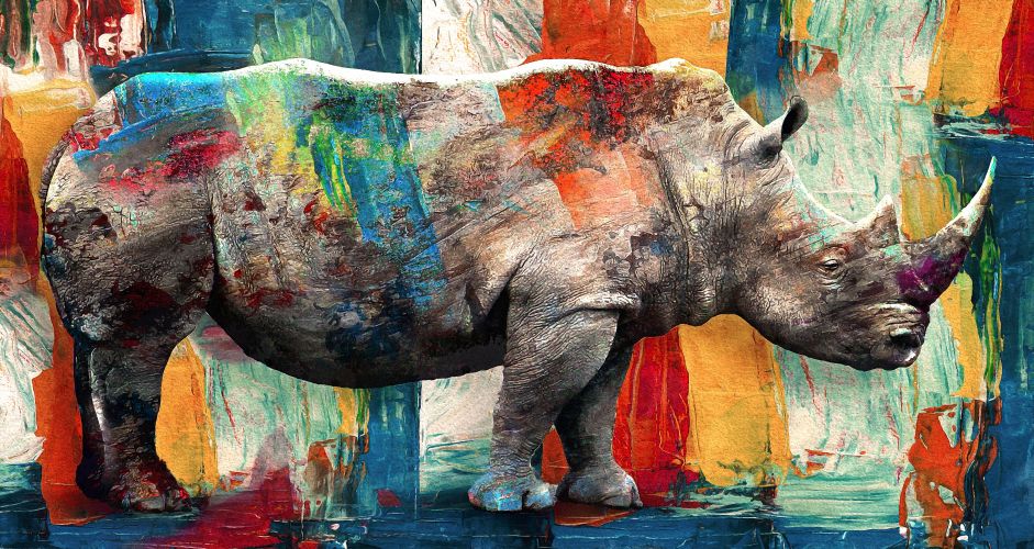 Πολύχρωμος Ρινόκερος