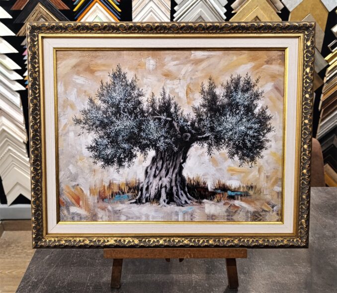 Ελιά (08) – Χαραυγή