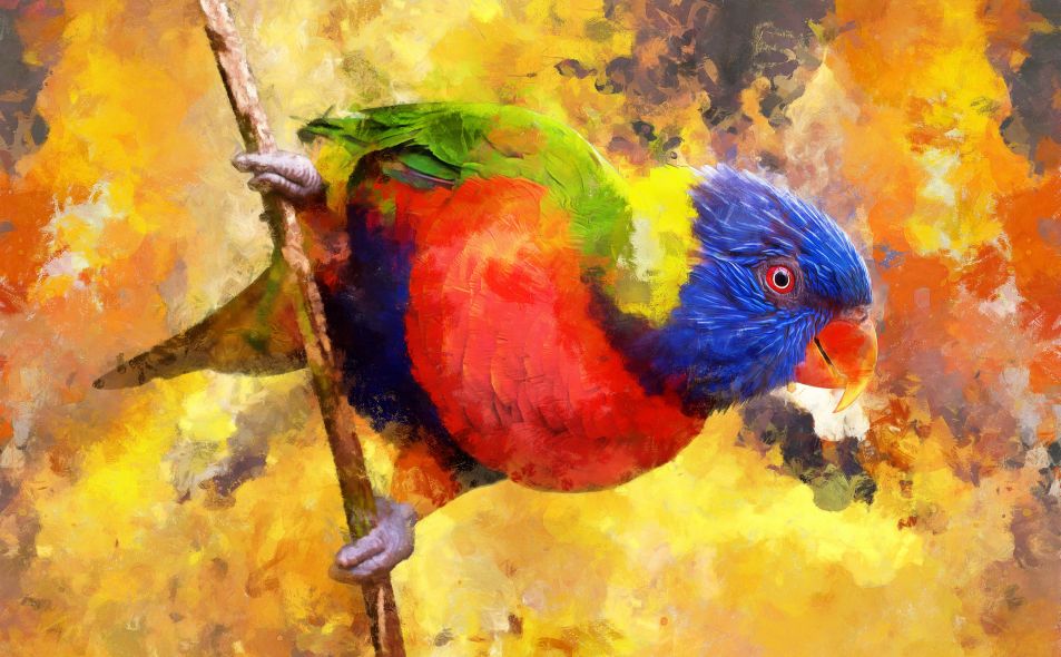 Πολύχρωμος παπαγάλος