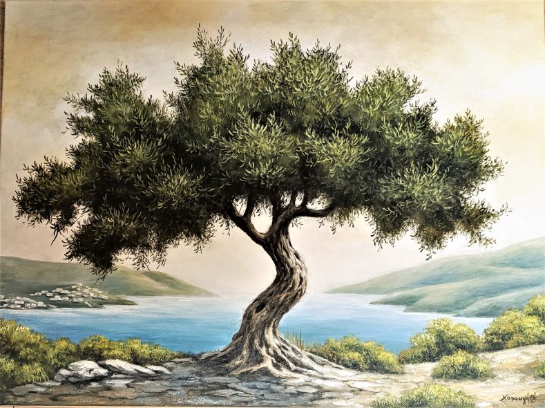 Δέντρο ελιάς με φόντο τη Μεσόγειο - Χαραυγή